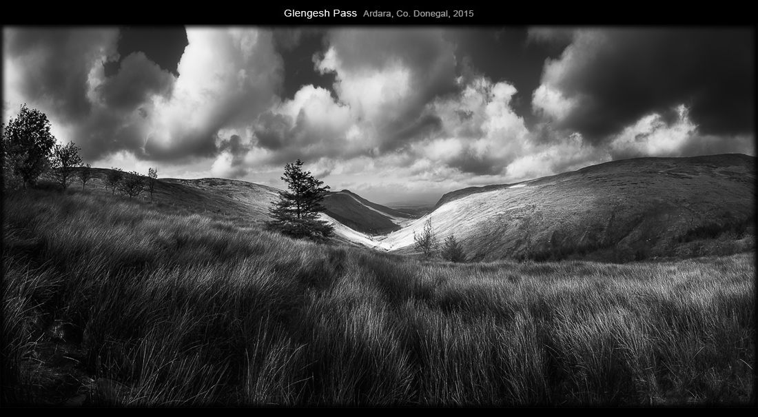 a158_beara_x